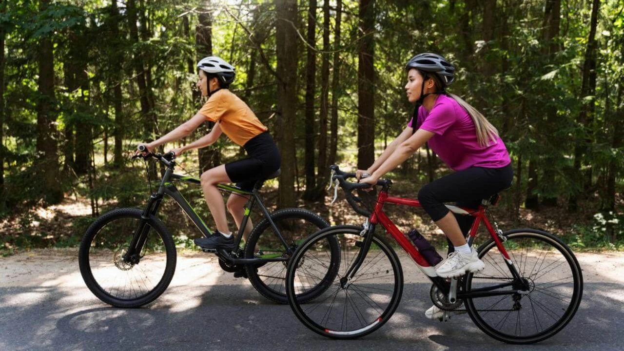 Fietscultuur in Nederland